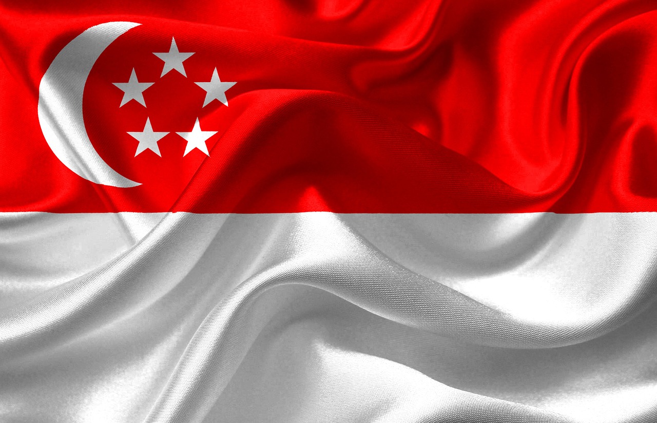 Intelligenz vererbt oder erworben in Singapur? Intelligenz vererbt oder erworben in Singapur?