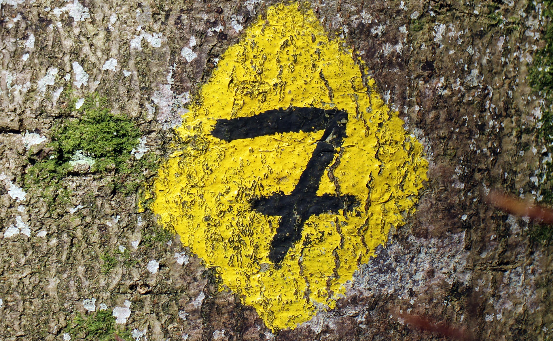 Die 7 im Alltag Die 7 im Alltag